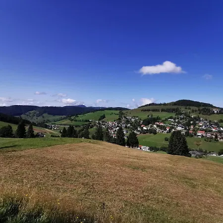 Daire Fewo 6 - Residenz Schauinsland - Mit Sauna, Todtnauberg, Bei Feldberg Todtnauberg