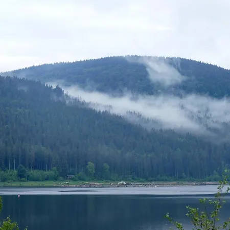 Fewo 6 - Residenz Schauinsland - Mit Sauna, Todtnauberg, Bei Feldberg Daire