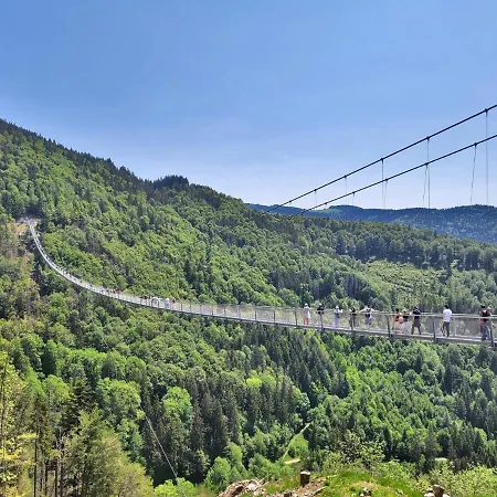 Daire Fewo 6 - Residenz Schauinsland - Mit Sauna, Todtnauberg, Bei Feldberg Todtnauberg